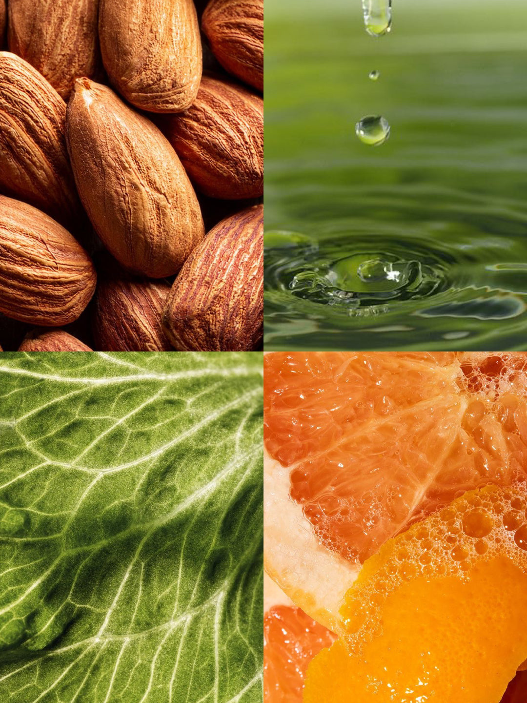 Nintai_ Blend, Matcha First Harvest 40g